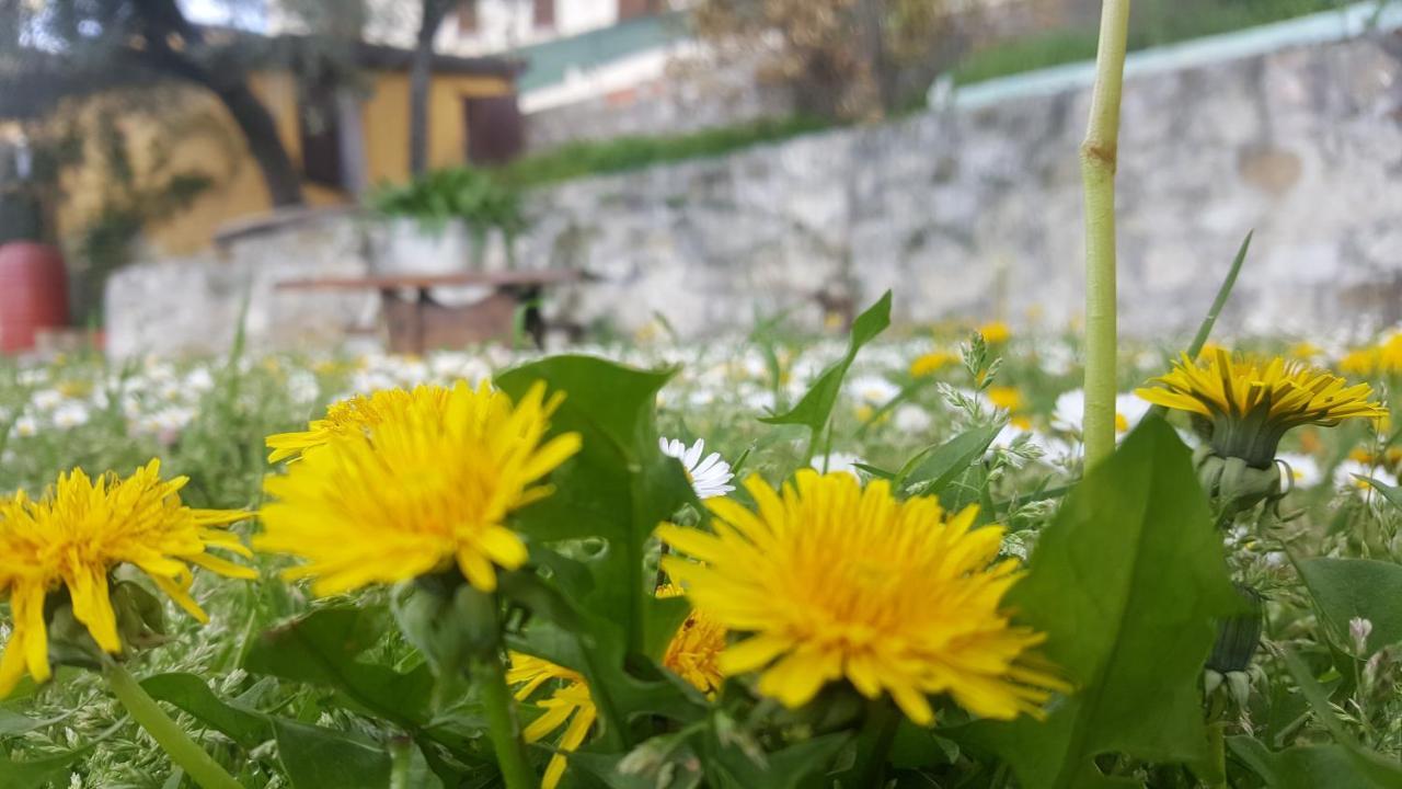 Bed & Breakfast Casa Lisetta 발토피나 외부 사진