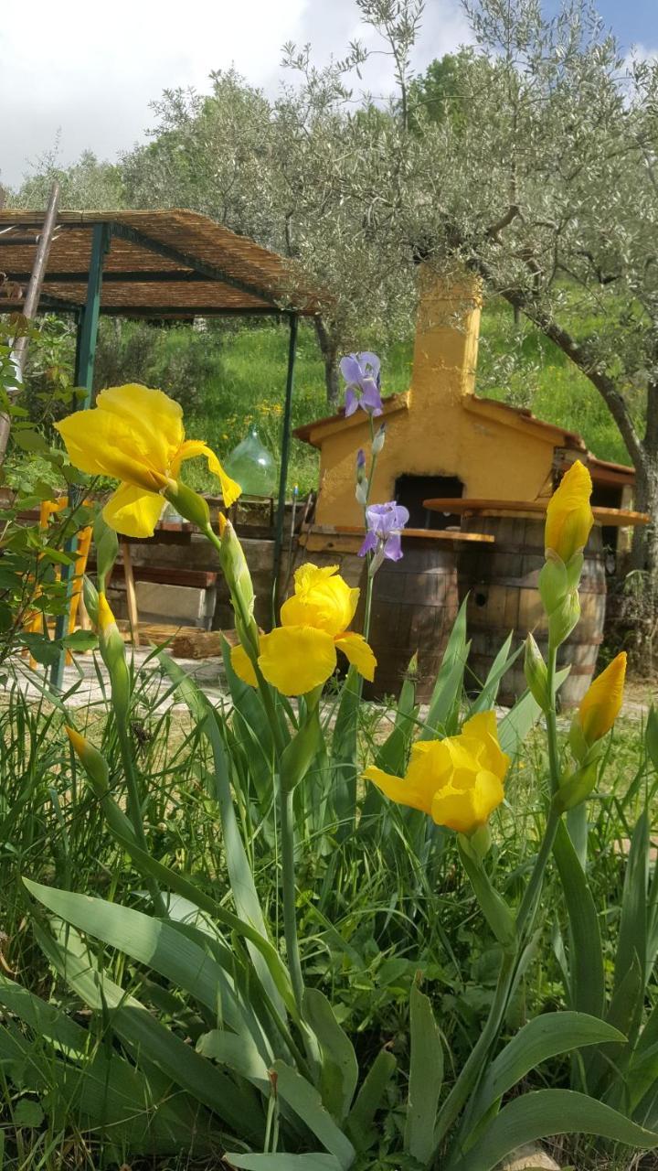 Bed & Breakfast Casa Lisetta 발토피나 외부 사진