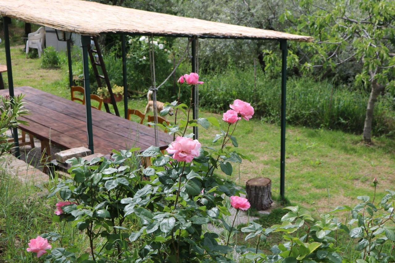 Bed & Breakfast Casa Lisetta 발토피나 외부 사진